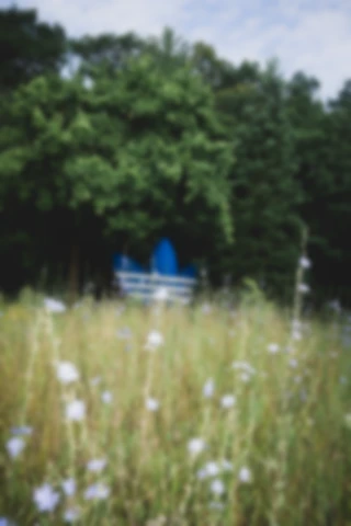 Maria Bayer — Bjørn Gulden (adidas), FOCUS