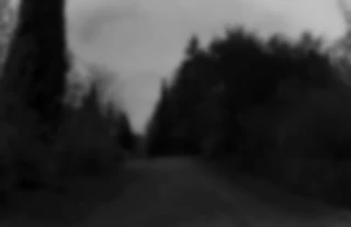 Maria Bayer — Blut wie Lava Maria Bayer — Blut wie Lava