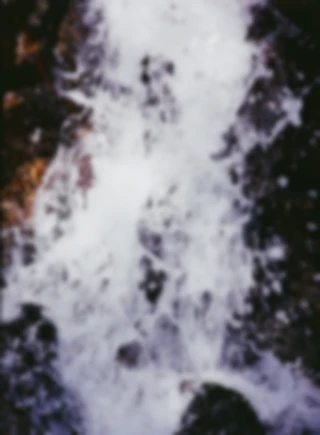 Maria Bayer — Diary