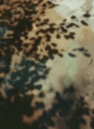 Maria Bayer — Diary