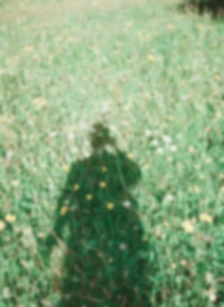 Maria Bayer — Diary