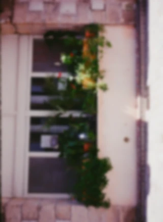 Maria Bayer — Diary