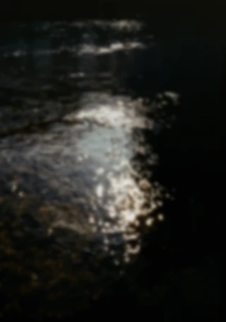 Maria Bayer — Diary