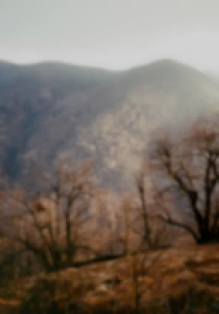 Maria Bayer — Diary