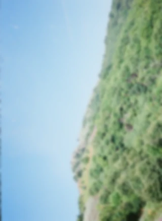 Maria Bayer — Diary