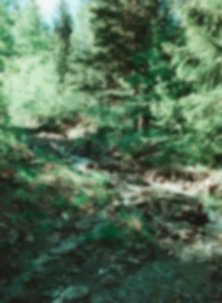 Maria Bayer — Diary