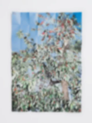 Maria Bayer — Die Gleichheit der Tage / Kirschbaum