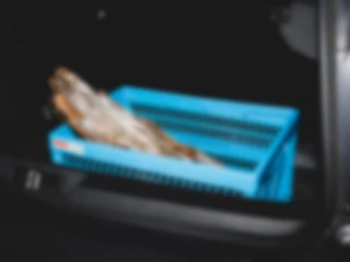 Maria Bayer — Fam. Herpich, SPIEGEL