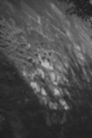 Maria Bayer — Flipper, DIE ZEIT