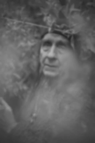 Maria Bayer — Flipper, DIE ZEIT