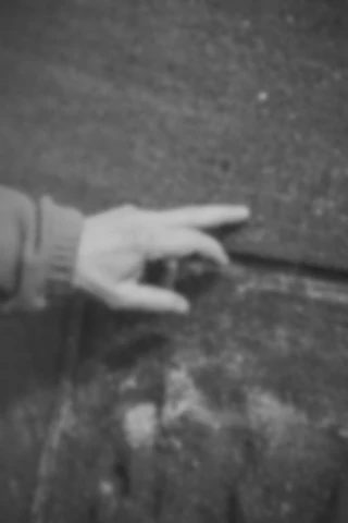 Maria Bayer — Flipper, DIE ZEIT