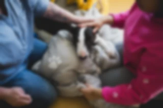 Maria Bayer — Lebenshilfe Nürnberg