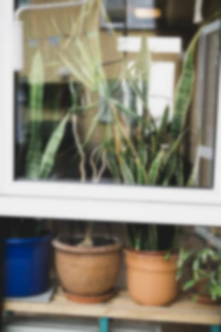 Maria Bayer — Lebenshilfe Nürnberg