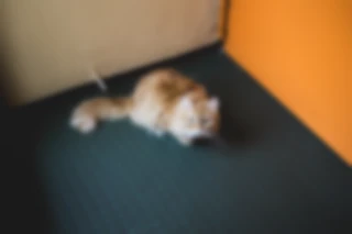 Maria Bayer — Lebenshilfe Nürnberg