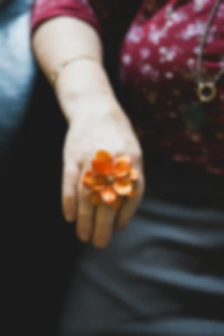 Maria Bayer — Lebenshilfe Nürnberg