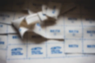 Maria Bayer — New Kids in the House, Visual Identity