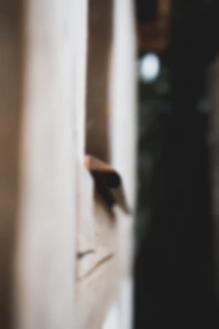 Maria Bayer — OLA, Visual Identity