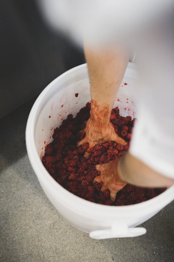 Maria Bayer — Sterneküchen, Straßenkreuzer