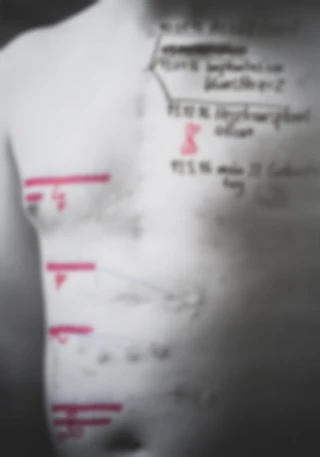 Maria Bayer — Zeitgleich und zu keiner Zeit